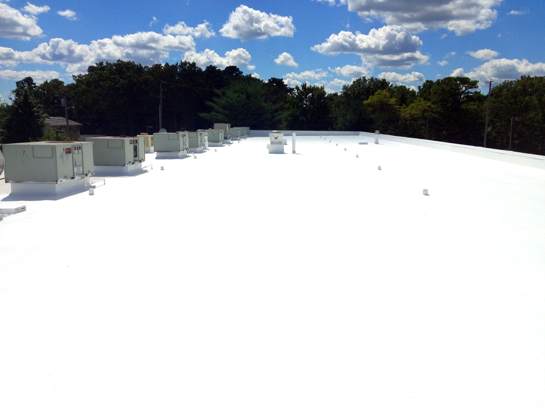 TPO/Membrane Roofing