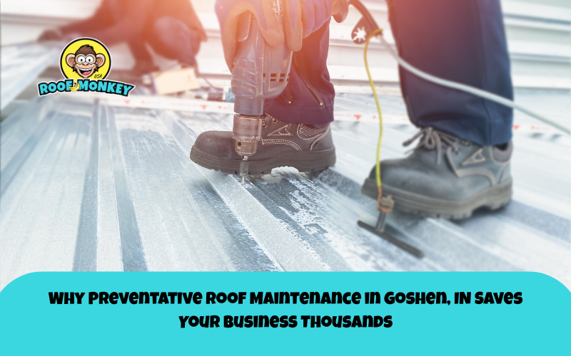 Why Preventative Roof Maintenance in Goshen, IN Saves Your Business Thousands 6 Roof Monkey USA Goshen, IN Why Preventative Roof Maintenance in Goshen IN Saves Your Business Thousands Roof Monkey USA Goshen, IN